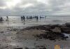 В Черкасской области откололась льдина: на ней были около 200 рыбаков