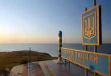 Украинские пограничники с острова Змеиный живы – ВСУ
