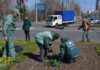 На площади 10 апреля высадили патриотические цветы