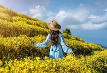 Украинцам обещают теплый май: свежий прогноз