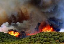 Європа у вогні: кількість загиблих внаслідок спеки та пожеж у Португалії та Іспанії перевищила тисячу людей