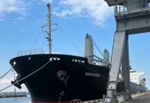 В Стамбул прибыло второе судно с украинской кукурузой (обновлено)