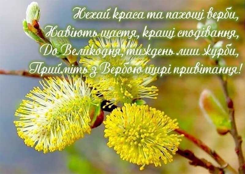 З Вербною неділею: красиві привітання у віршах, прозі та картинках