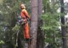 Комплексные услуги промышленного альпинизма и благоустройства