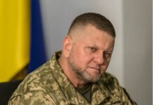 Потрібно повернути колишні рамки: Залужний розповів, якою повинна бути мобілізація