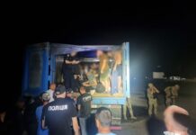 Хотел вывезти за границу более 40 уклонистов: в Одесской области избрали меру пресечения зерноперевозчику