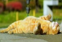 Жара до +32 °С: какая погода будет в Одессе на следующей неделе