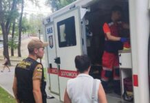 У Києві муніципальна варта і медики «швидкої» рятували дівчинку після нападу зграї ос