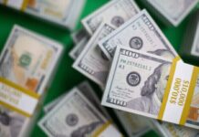 Курс валют в Украине 26 августа 2024: сколько стоит доллар и евро