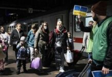 Кожен четвертий український біженець хоче залишитися за кордоном назавжди: оприлюднено результи дослідження