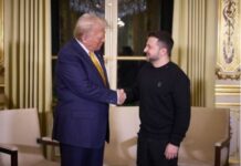 Це щось нове: Трамп розповів про перемовини з Зеленським щодо завершення війни