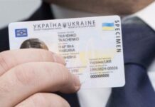 Где искать номер и серию ID-паспорта: подробный гайд