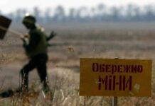 На розмінування українських сільгоспугідь знадобиться понад 400 років чи 42 роки?