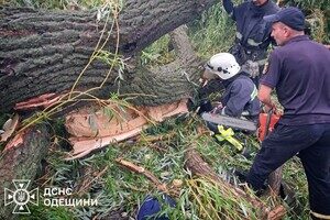 В Одесской области дерево упало на палатку с подростками: есть погибший и пострадавшие