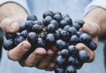 Ці ягоди підходять не всім: кому шкідливо їсти виноград