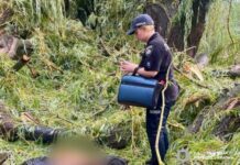 Полиция расследует трагедию в Балте: во время непогоды погиб подросток, четверо девушек травмированы