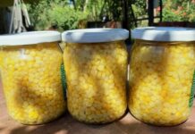 Консервуємо вдома кукурудзу: дуже простий та смачний рецепт