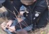 Жахливе вбивство на Вінниччині: чоловік зарізав двох дітей