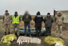 В Одесской области разоблачили браконьера: чем он навредил окружающей среде