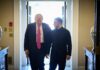 Трамп не планує зустрічі із Зеленським: у «мирному плані» залишились розбіжності — Левітт