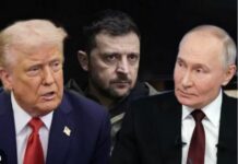 Зеленський стоїть перед жахливим вибором між поганою угодою і її відсутністю — ЗМІ