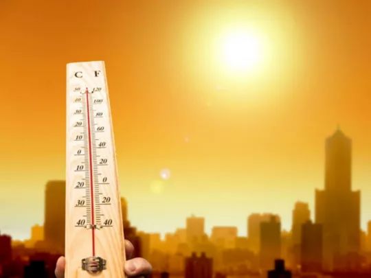 Україну може накрити аномальна спека влітку 2026: що кажуть синоптики