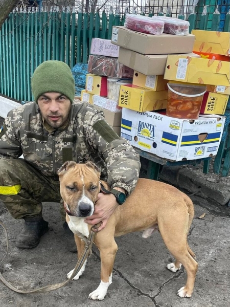 Вижити в норі легше з матрацом, подушкою і бутербродом з салом: як волонтерка з Лубен досі закриває базові потреби фронту